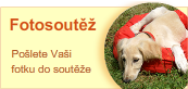 Fotosoutěž