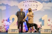 Acadia Tawalla - Junior BIG