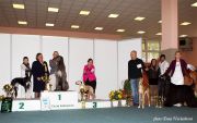 CAC, CACIB, BOB, BIG II