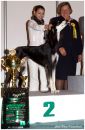 CAC, CACIB, BOB, BIG II