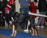 CAC, res. CACIB