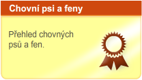 Chovní psi a feny - Přehled chovných psů a fen.